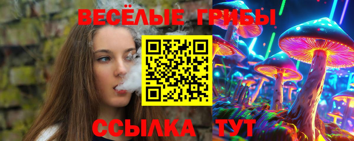 Сызрань  Галлюциногенные грибы Magic Shrooms  Вход с VPN 