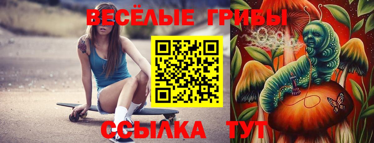 Псилоцибиновые грибы ЛСД Сызрань